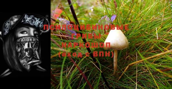 кокс Баксан